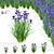 Siberian Iris 3D Models Collection 3D model small image 1