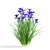 Siberian Iris 3D Models Collection 3D model small image 4