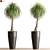  Lush Green Indoor Plant 3D model small image 1