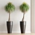  Lush Green Indoor Plant 3D model small image 2