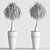  Lush Green Indoor Plant 3D model small image 3