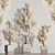 Versatile Dry Indoor Plant Set 3D model small image 2