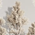 Versatile Dry Indoor Plant Set 3D model small image 6