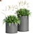 Designer Outdoor Plant 6 3D model small image 1