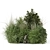Outdoor Plants Bush Set 1273 3D model small image 6