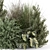 Outdoor Bush Plant Set 1274 3D model small image 2
