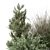 Outdoor Bush Plant Set 1274 3D model small image 5