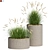 Title: Design 7 Outdoor Plant 3D model small image 1