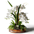 White Orchid in Wooden Planter 3D model small image 3