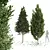 Luxury Tree 3D Model Set 3D model small image 1