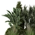 Title: Premium Outdoor Plants Bush Set 3D model small image 2