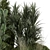Title: Premium Outdoor Plants Bush Set 3D model small image 3