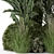Title: Premium Outdoor Plants Bush Set 3D model small image 4