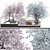 Max 2015 Corona Plant Collection 3D model small image 1