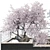 Max 2015 Corona Plant Collection 3D model small image 2