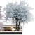 Max 2015 Corona Plant Collection 3D model small image 3