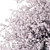 Max 2015 Corona Plant Collection 3D model small image 6