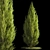 Evergreen Shrub Selection Set 3D model small image 1