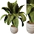 Modern Indoor Plant 220 Décor 3D model small image 2