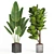 Modern Indoor Plant Collection Set 3D model small image 3