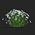 Achillea Ptarmica Flower Collection 3D model small image 6