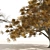American Elm Trees 3D Model 3D model small image 4