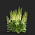 Lemoncello Digitalis Flower Collection 3D model small image 4