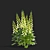 Lemoncello Digitalis Flower Collection 3D model small image 5