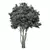 Premium Pine Tree No.15 Scenery 3D model small image 2