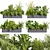 Premium Plant Collection: Ampelous Palm Grass 3D model small image 1