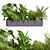 Premium Plant Collection: Ampelous Palm Grass 3D model small image 2