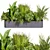Premium Plant Collection: Ampelous Palm Grass 3D model small image 3