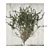 Outdoor Ivy Fitowall Plant Model 3D model small image 3