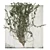 Outdoor Ivy Fitowall Plant Model 3D model small image 4