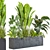 Diverse Indoor/Outdoor Plant Collection 3D model small image 1