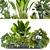 Diverse Indoor/Outdoor Plant Collection 3D model small image 4