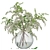  Elegant Bird Cherry Bouquet 3D model small image 1