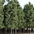  PBR Pine Trees Collection Vol.178 3D model small image 3