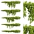 Premium Outdoor Ivy Bush Model 3D model small image 1