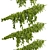 Premium Outdoor Ivy Bush Model 3D model small image 2