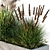 10 Piece Outdoor Plant Set 3D model small image 4
