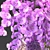 Eastern Orchid Bouquet & Vase 3D model small image 3