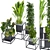 Variety Indoor/Outdoor Plant Collection 3D model small image 1