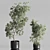 Elegant Olive Tree Set Oilve 3D model small image 1