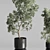 Elegant Olive Tree Set Oilve 3D model small image 2