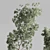 Elegant Olive Tree Set Oilve 3D model small image 3