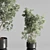 Elegant Olive Tree Set Oilve 3D model small image 4