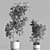 Elegant Olive Tree Set Oilve 3D model small image 5