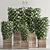  Contemporary Indoor Plant Set 97 3D model small image 1