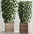  Contemporary Indoor Plant Set 97 3D model small image 6